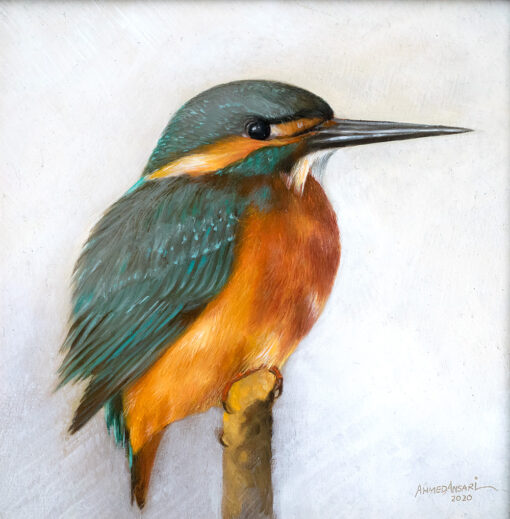 Kingfisher